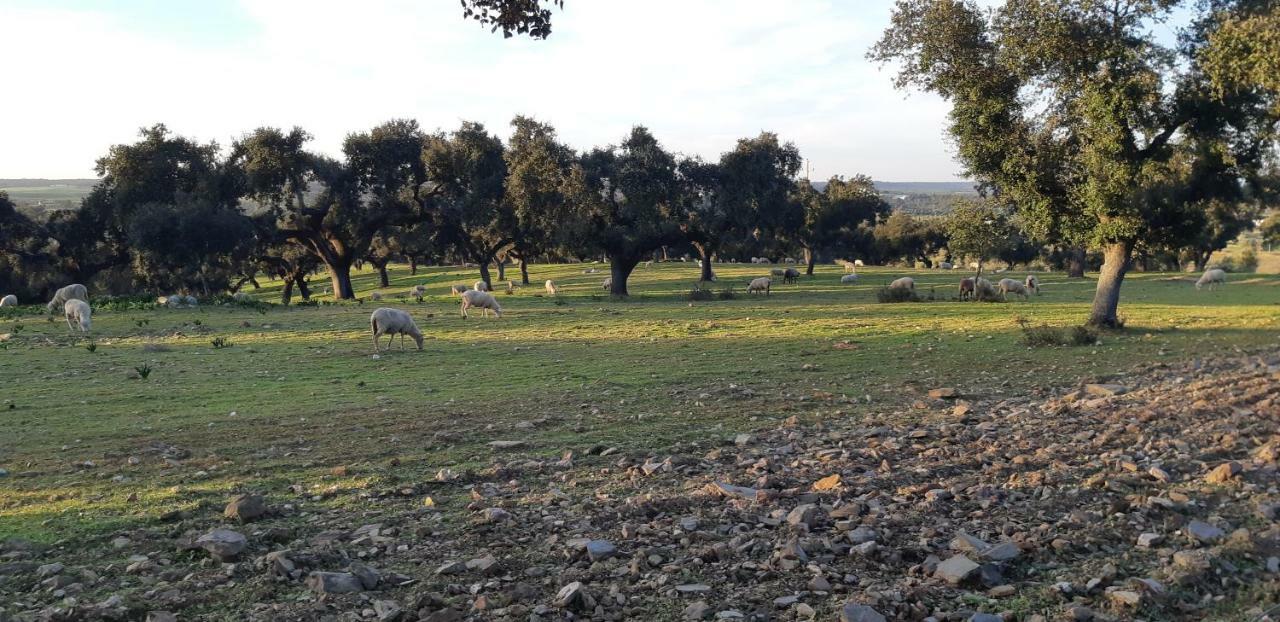 Casa Azul Διαμέρισμα Αβίς Εξωτερικό φωτογραφία