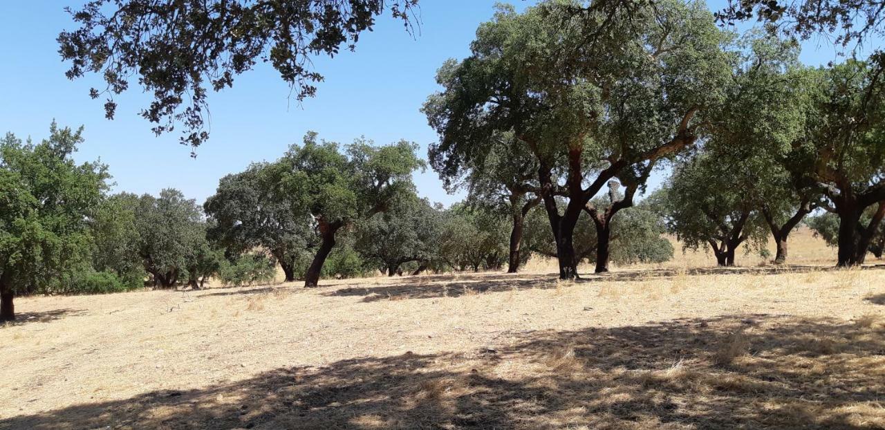 Casa Azul Διαμέρισμα Αβίς Εξωτερικό φωτογραφία